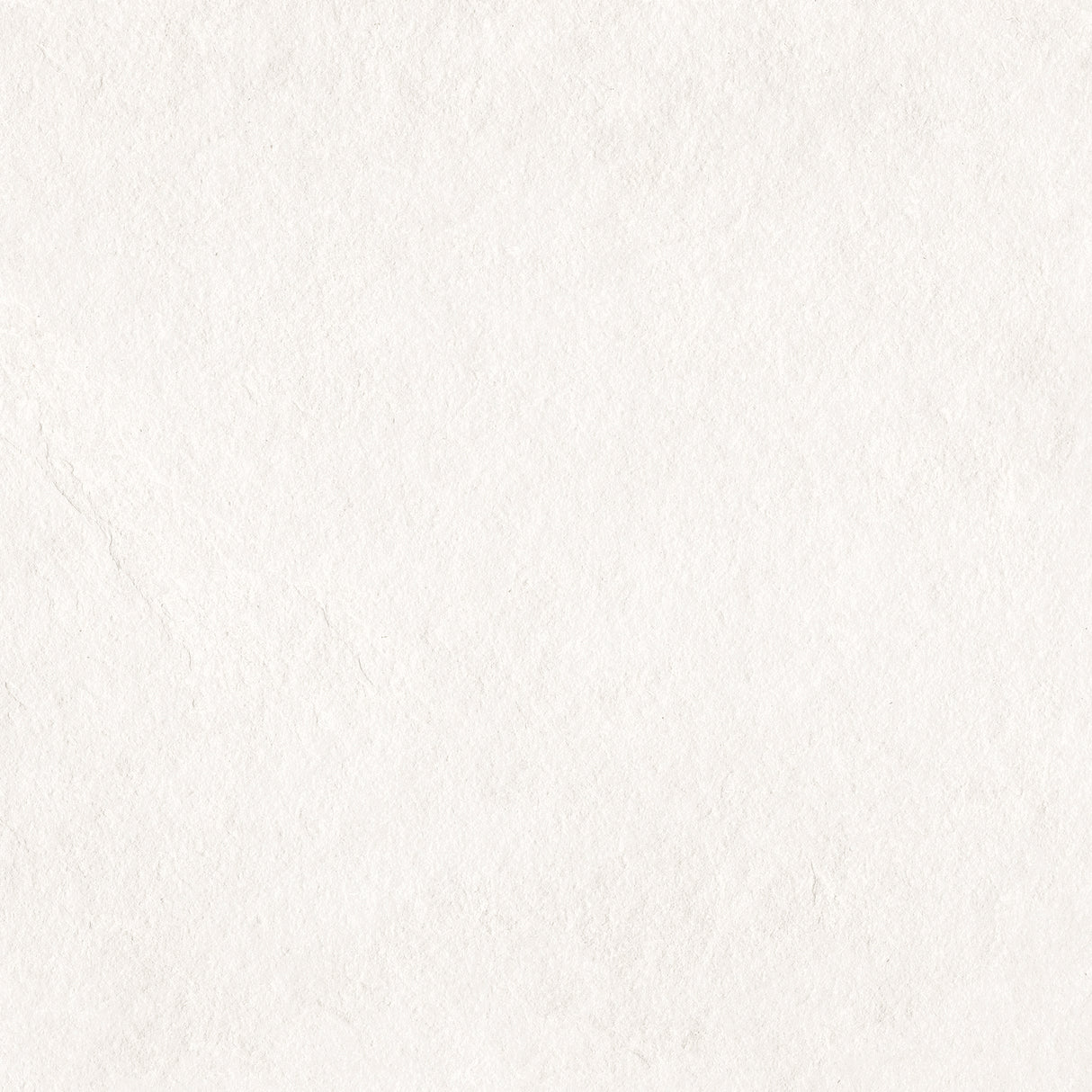 Bone porcelain field tile 48x48