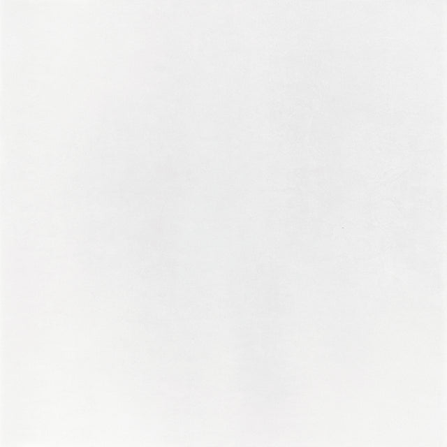 Micron 48x48 Polish Bianco porcelain tile