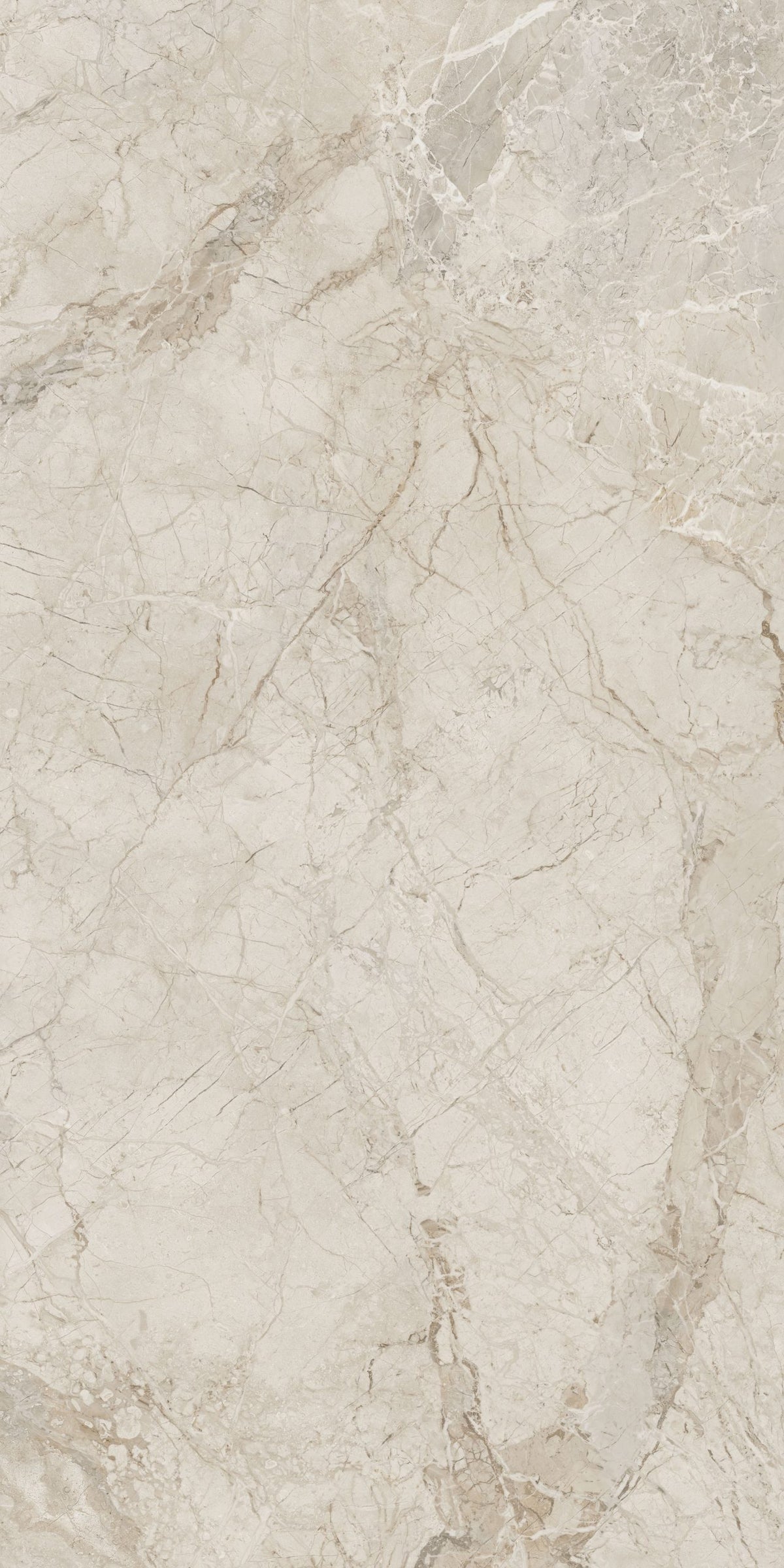 Breccia Reale Matte 64" x 128" Porcelain slab, Side B
