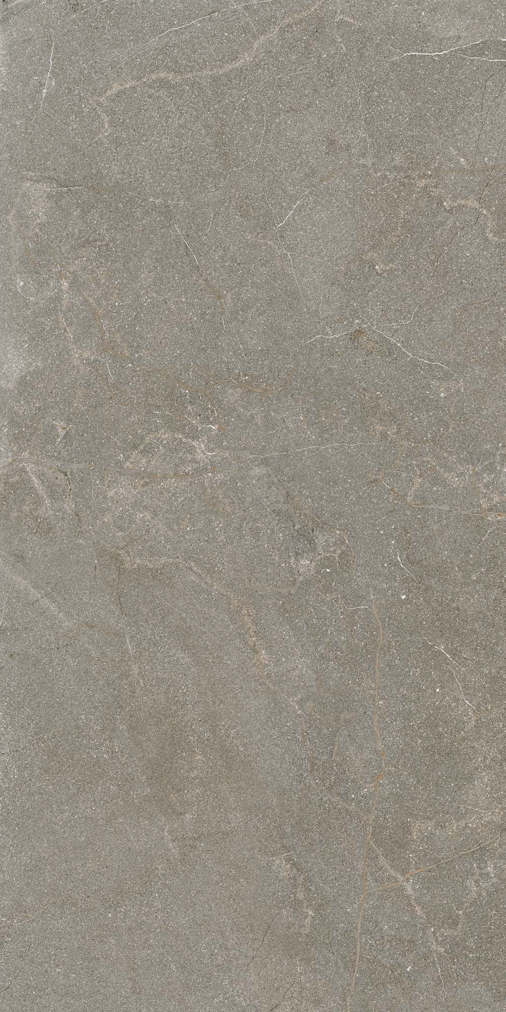 Stoneline 24x48 R11 Beige porcelain tile