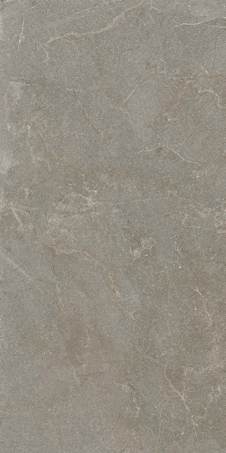 Stoneline 24x48 R11 Beige porcelain tile