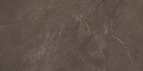 Arcadia 24x48 Matte Terra porcelain tile