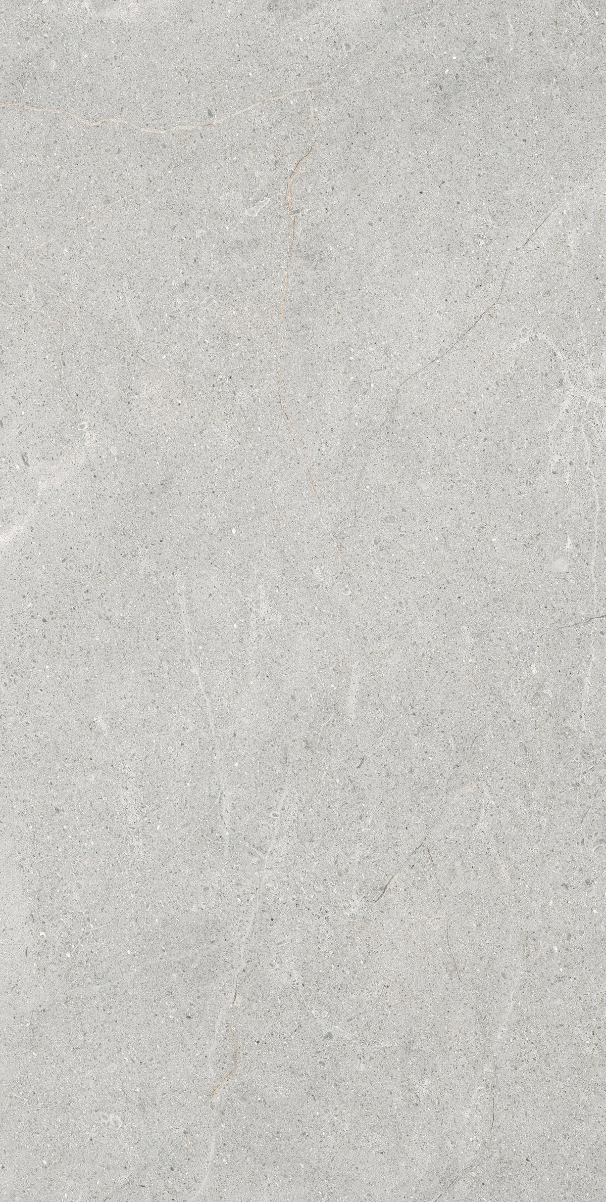 Lime Evolution 24x48 porcelain tile