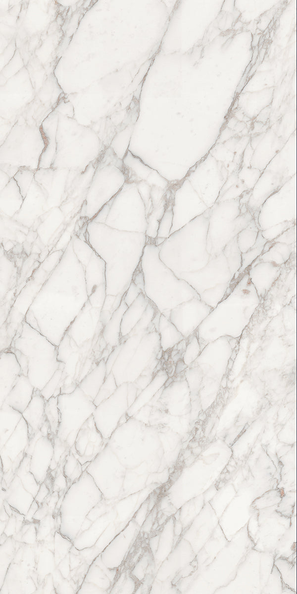 Palladio Touch 24x48 porcelain tile