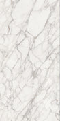Palladio Touch 24x48 porcelain tile