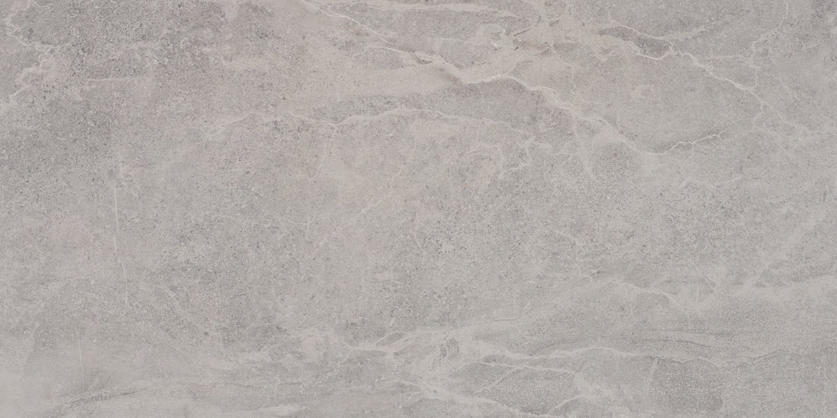 Lithos 24x48 Matte Grey porcelain tile