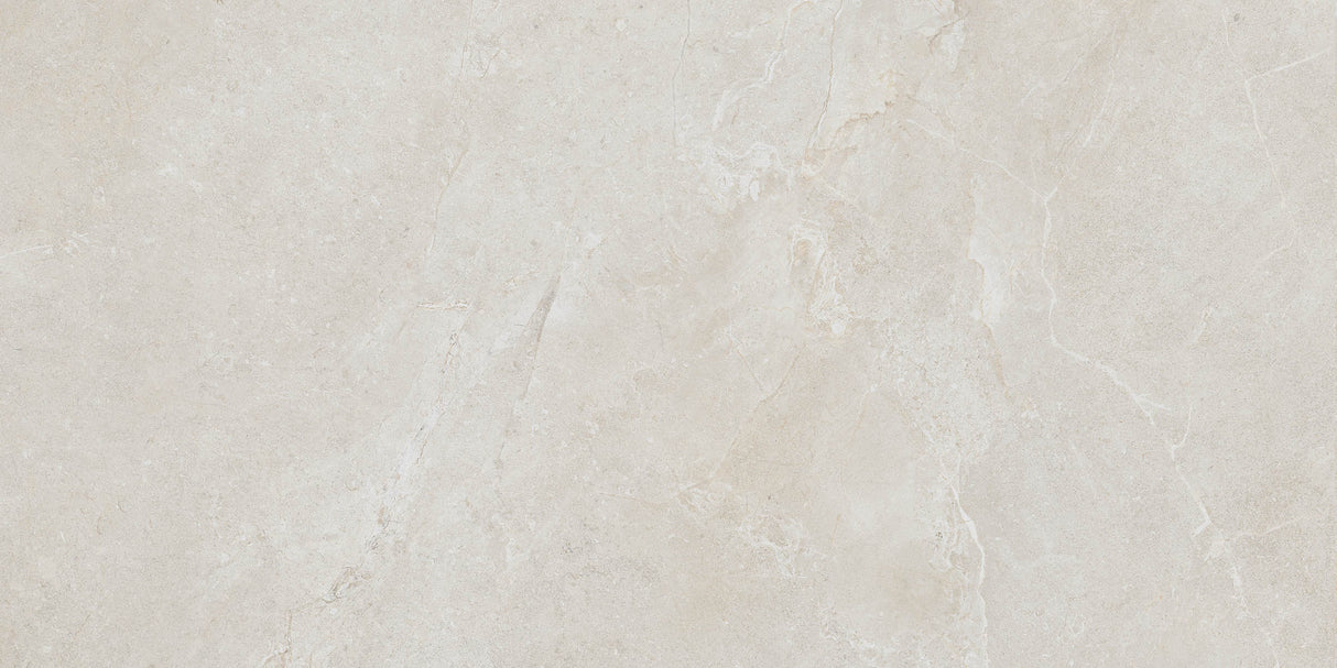 Arcadia 24x48 porcelain tile