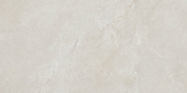 Arcadia 24x48 porcelain tile