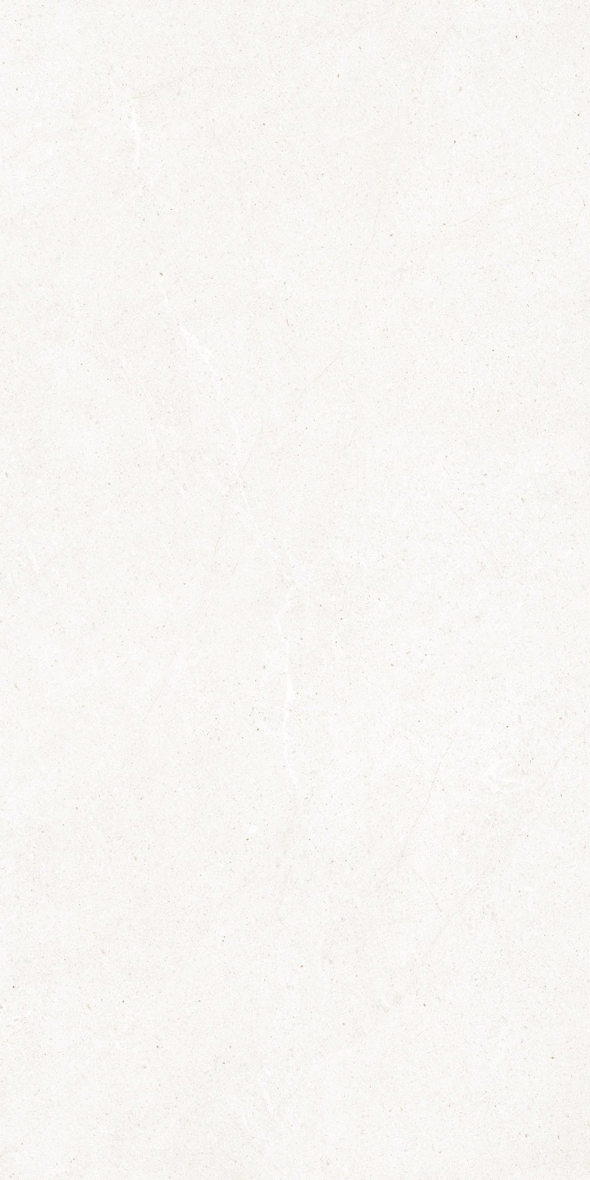 Lime Evolution 24x48 porcelain tile