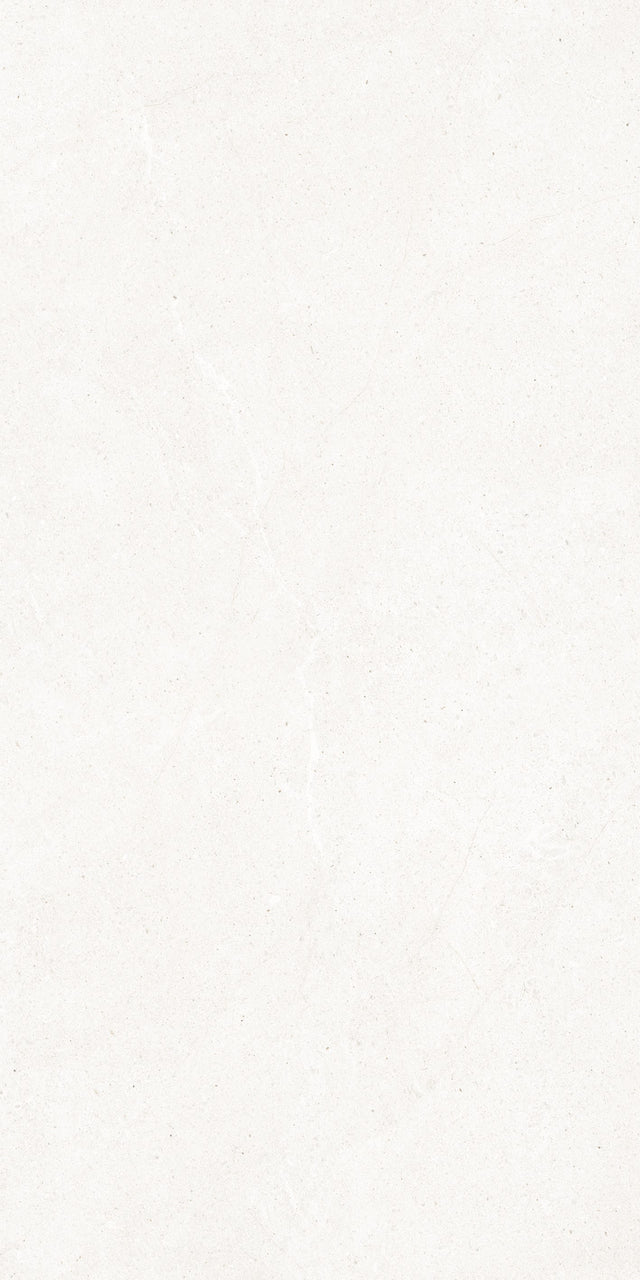Lime Evolution 24x48 porcelain tile