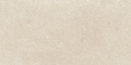 Leiria 24x48 Matte Natural porcelain tile