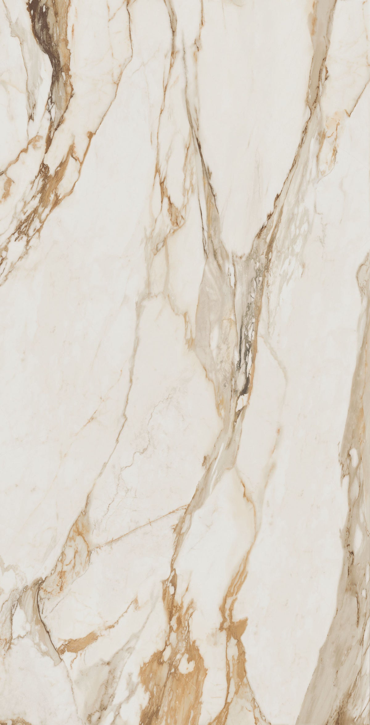 Macchia Vecchia Antique White Matte 64" x 128" Porcelain slab, Side B