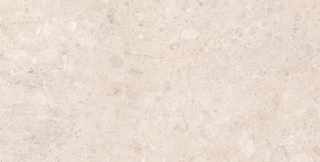 Ardara 24x48 Natural Sand porcelain tile