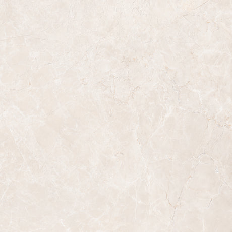 Eden 48x48 Natural Sand porcelain tile