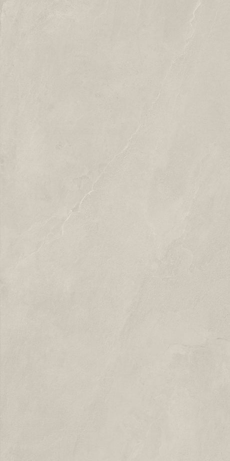 Azuma Rock 24x48 Matte Rock Camargue porcelain tile