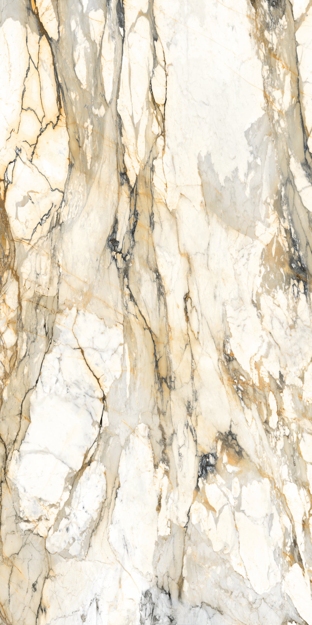 Marmo Antico Polish 63" x 126" Porcelain slab