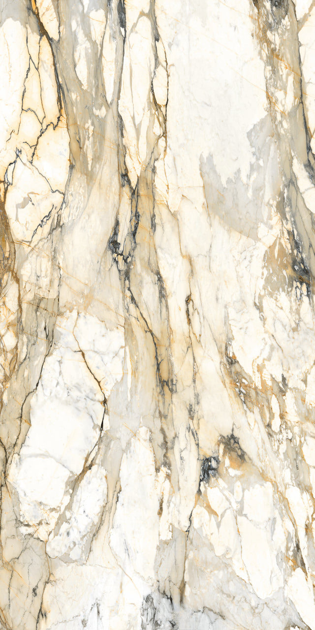 Marmo Antico Polish 63" x 126" Porcelain slab