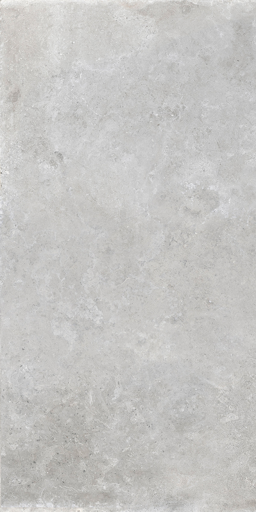 St Remy 24x48 porcelain tile