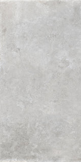 St Remy 24x48 porcelain tile
