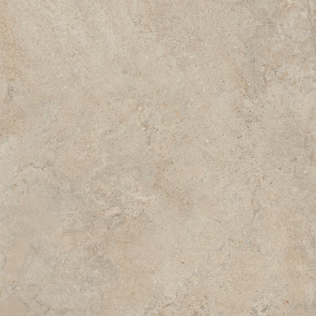 Lithoteke 48x48 Matte Limestone porcelain tile