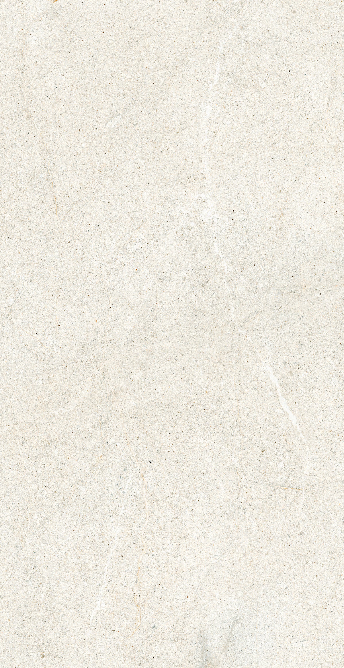 Lime Evolution 24x48 porcelain tile