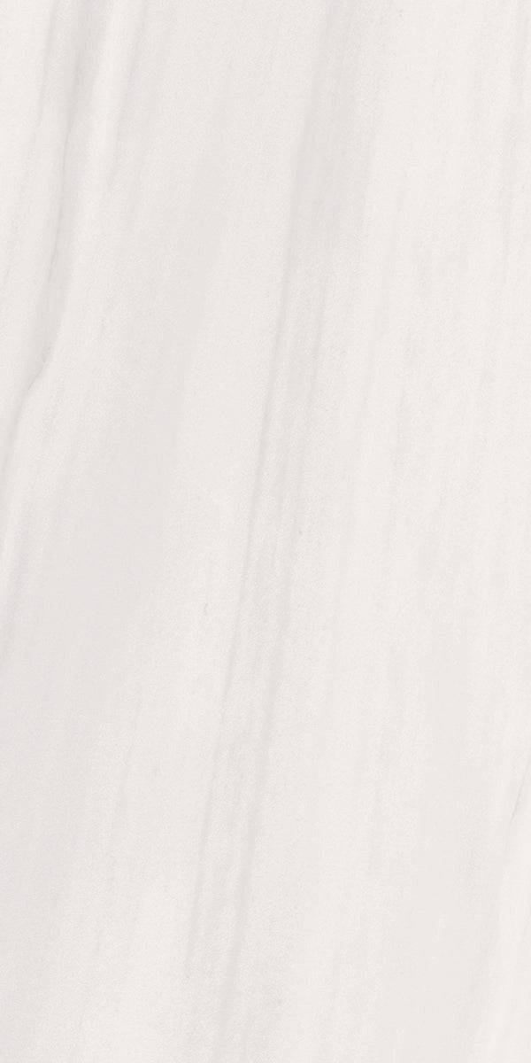 Sansovino Mt 24x48 porcelain tile