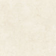 Native Light Ivory 48x48 porcelain tile