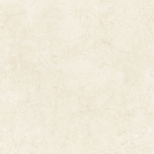 Native Light Ivory 48x48 porcelain tile