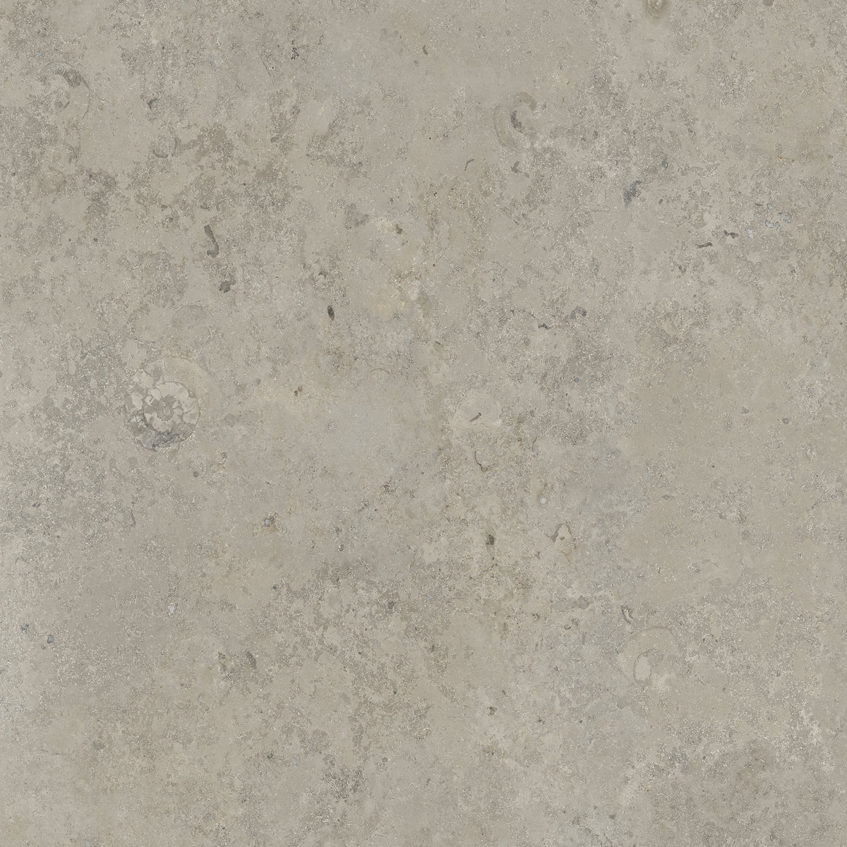 Bistone 48x48