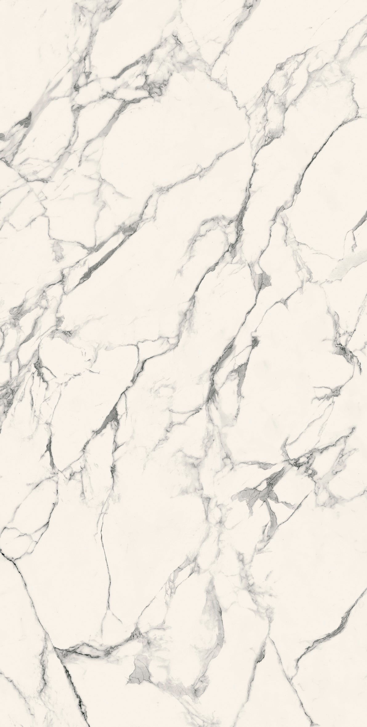 Top Statuario Bianco Matte 64" x 128" Porcelain slab