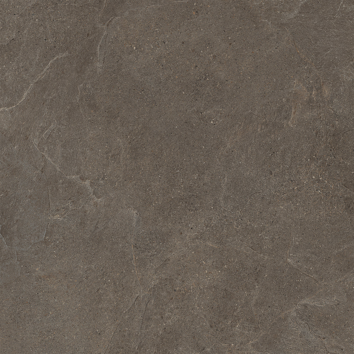 Moonstone Safe 48x48 porcelain tile