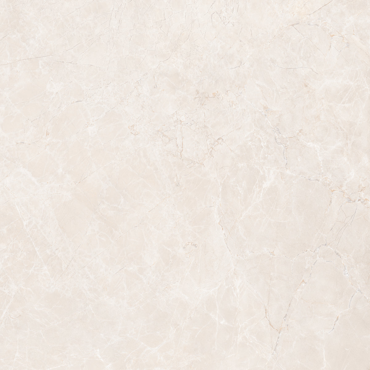 Eden Sand Nat 48x48 porcelain tile