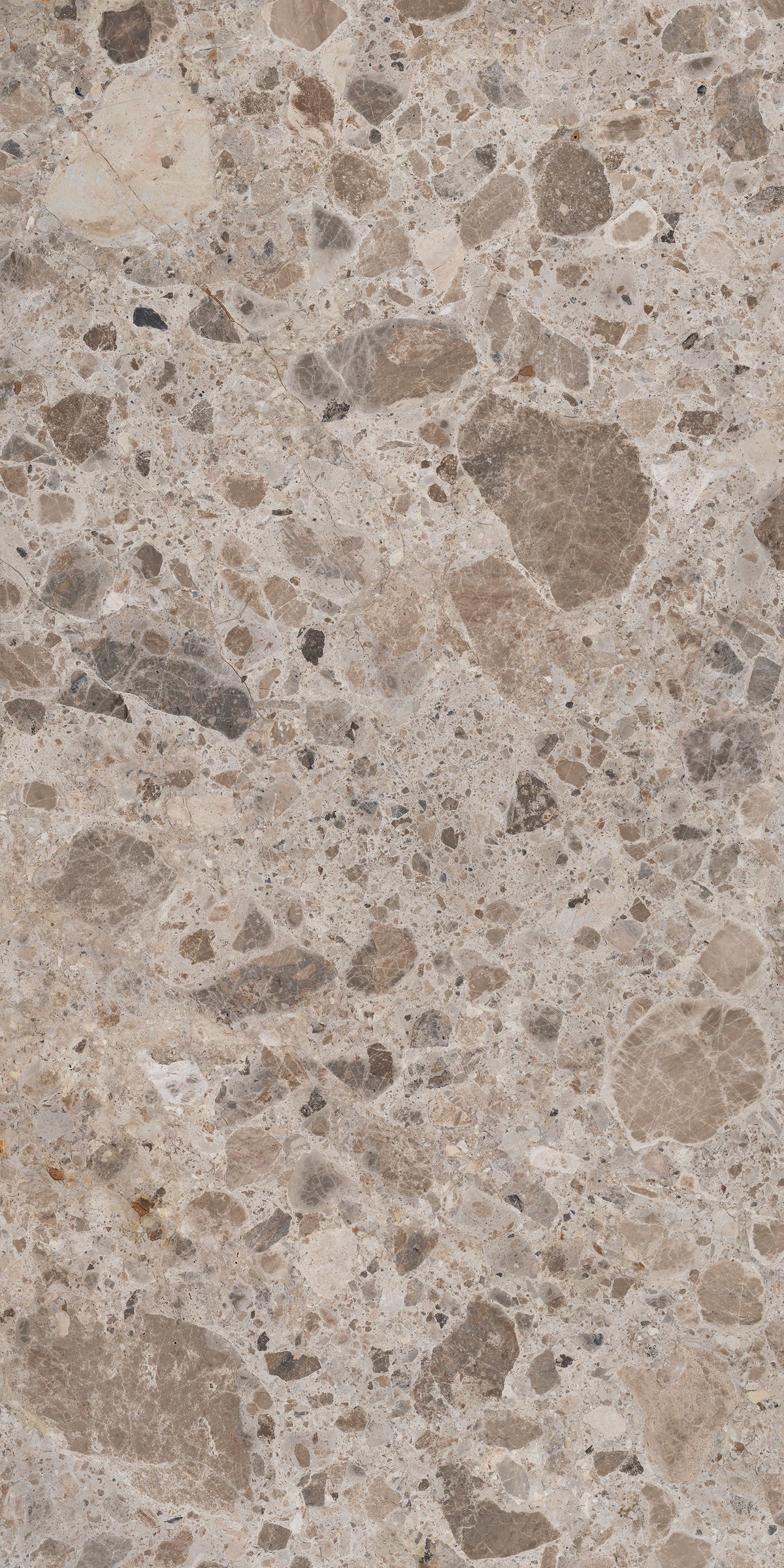 Norr 24x48 porcelain tile