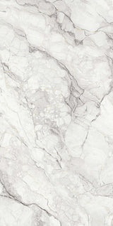 Camouflage Matte 64" x 128" Porcelain slab, Side B