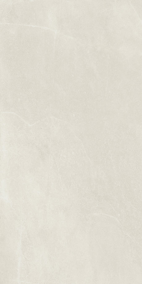 Azuma Rock 24x48 Matte Rock Bianco porcelain tile
