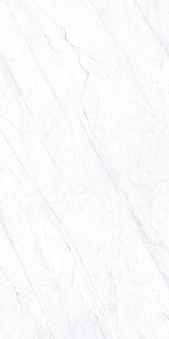 Carrara Matte 63" x 126" Porcelain slab