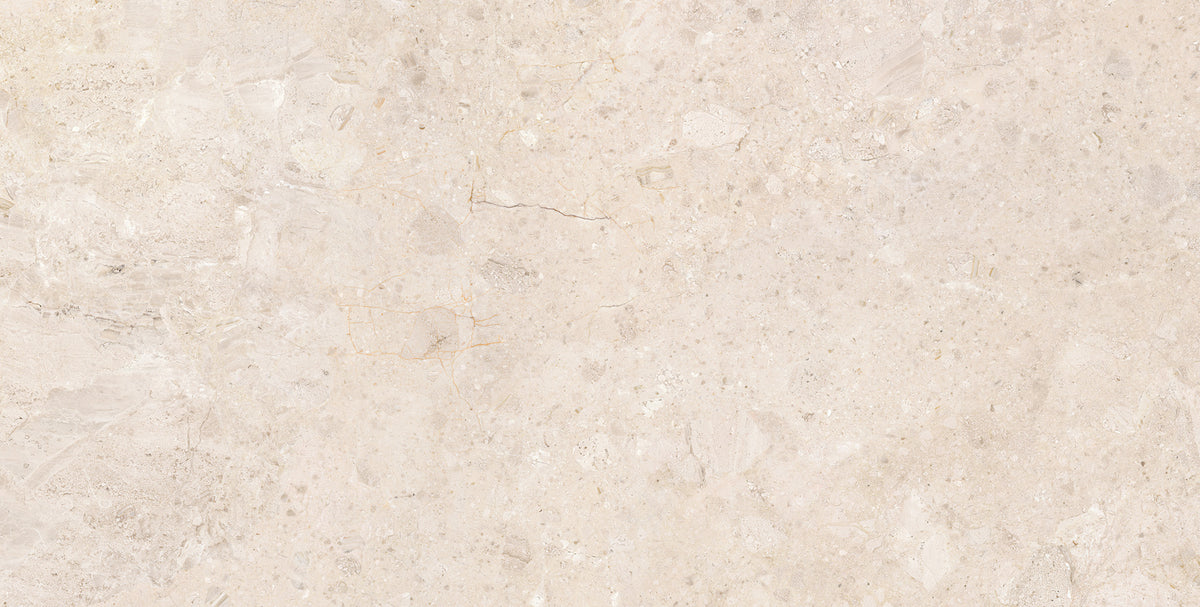 Ardara 24x48 porcelain tile