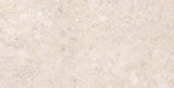 Ardara 24x48 porcelain tile