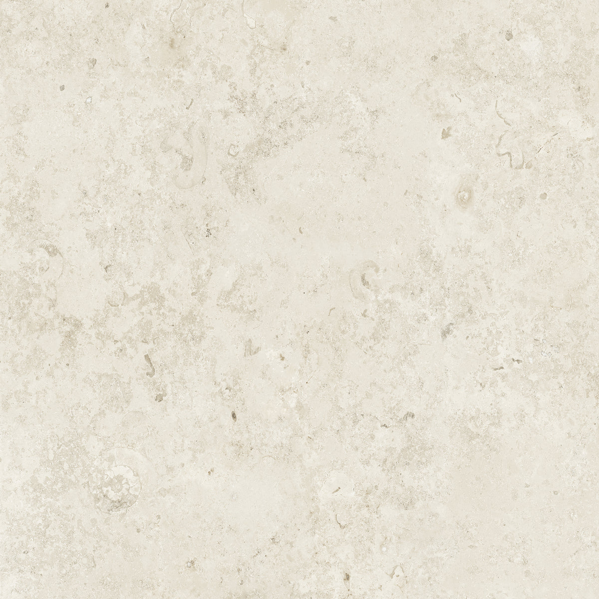Bistone 48x48 Pure porcelain tile