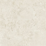 Bistone 48x48 Pure porcelain tile