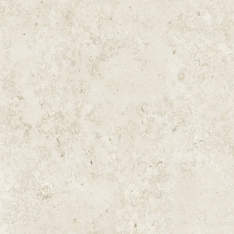 Bistone 48x48 Pure porcelain tile