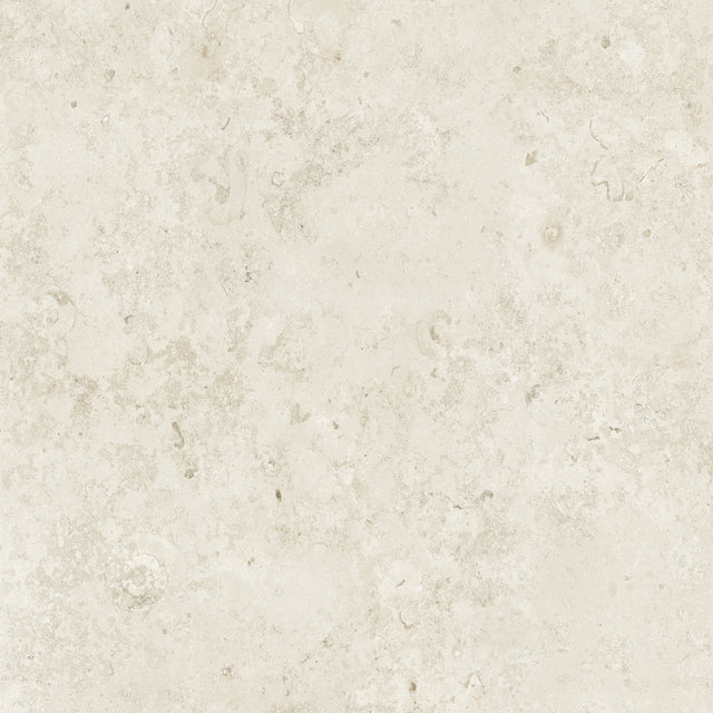 Bistone 48x48 Pure porcelain tile