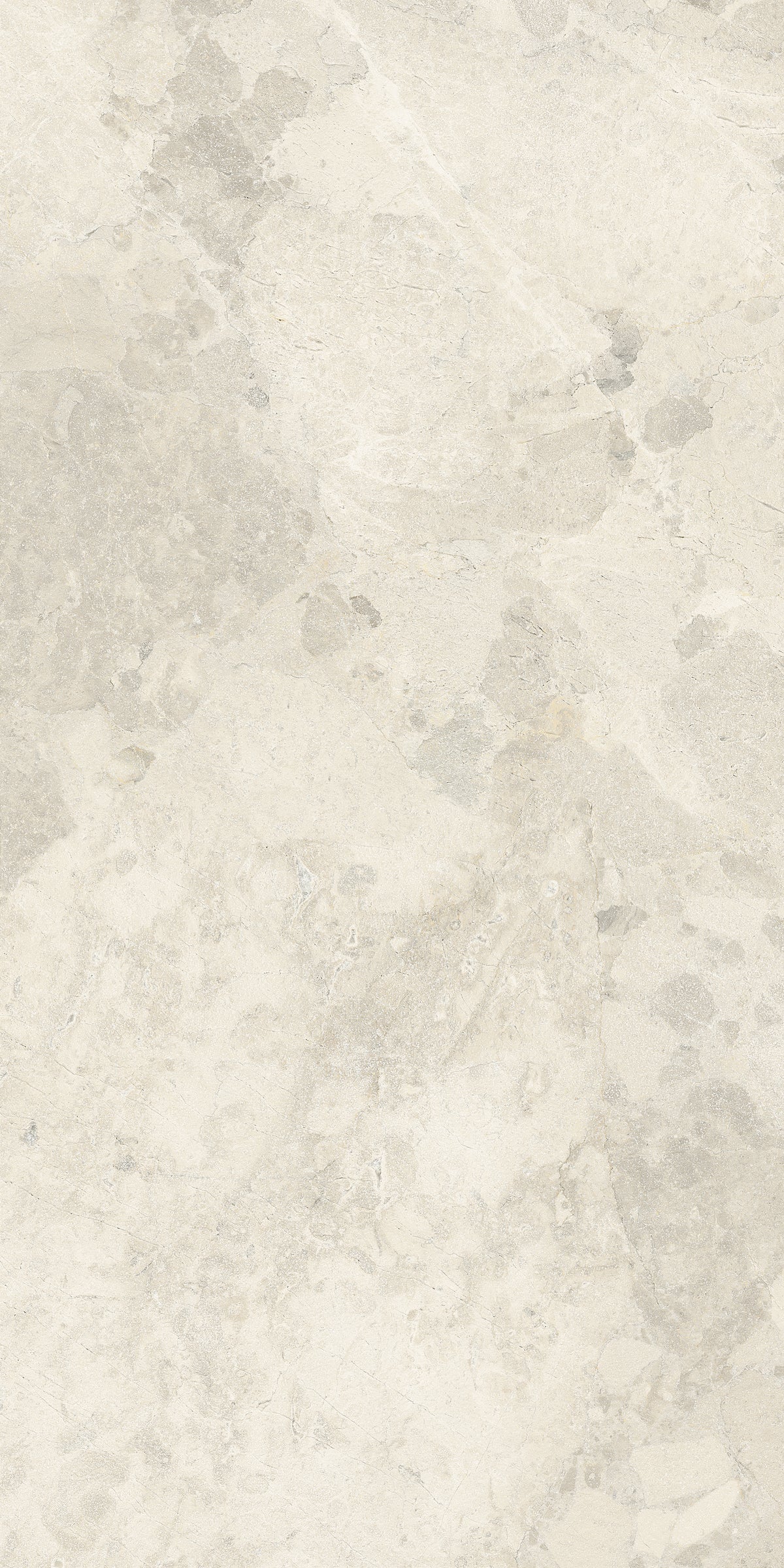 Crew Bitter 24x48 Bitter Almond porcelain tile