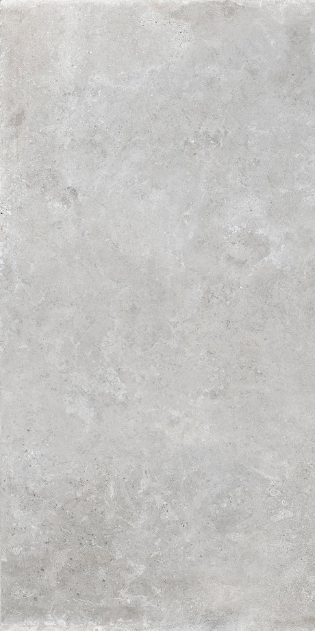 St Remy 24x48 Field Grigio porcelain tile