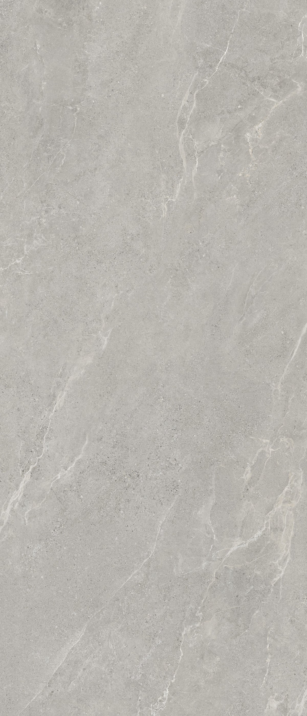 Lithos Grey Matte 48" x 110" Porcelain slab