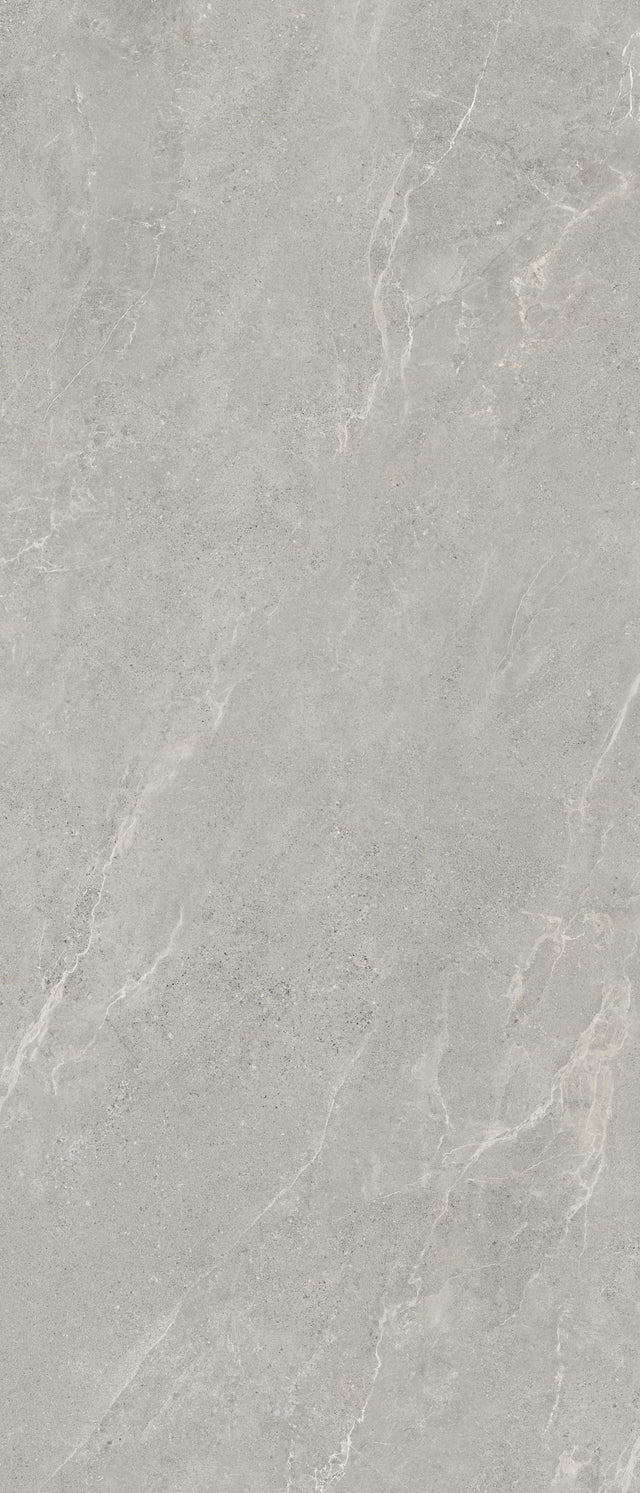 Lithos Grey Matte 48" x 110" Porcelain slab