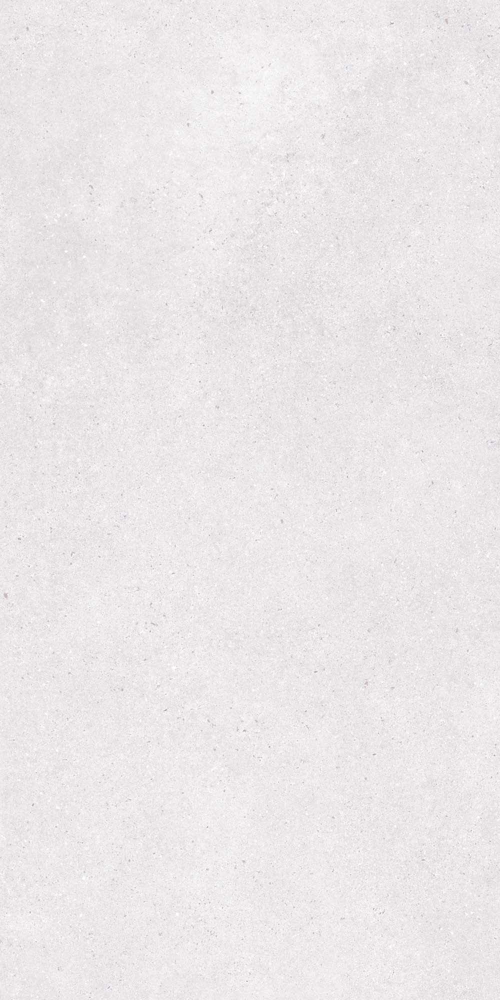 Metropolis Lt Grey Mt 24x48 porcelain tile