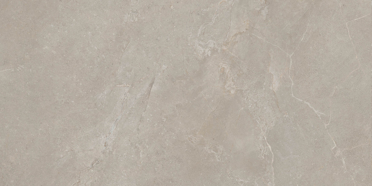 Arcadia 24x48 porcelain tile