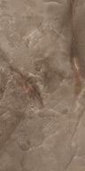Orion 24x48 Polish Mocca porcelain tile