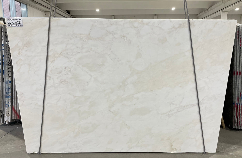 Calacatta Rhino Marble Honed 76" x 117" Natural Stone slab